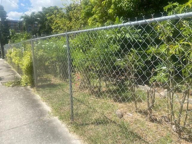 425 NW 7TH, Fort Lauderdale, FL 33311 photo 5