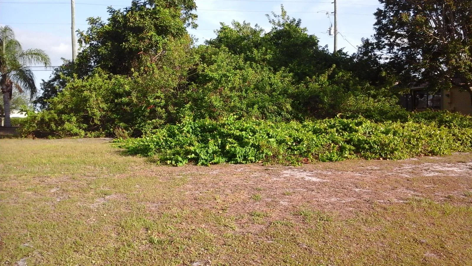 306 Main Street, Sebastian, FL 32958
