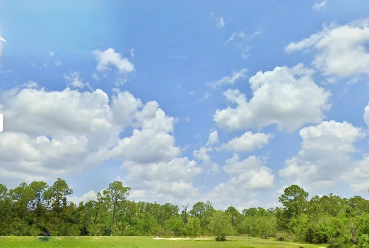 1218 Iris Avenue, Sebring, FL 33875 photo 3