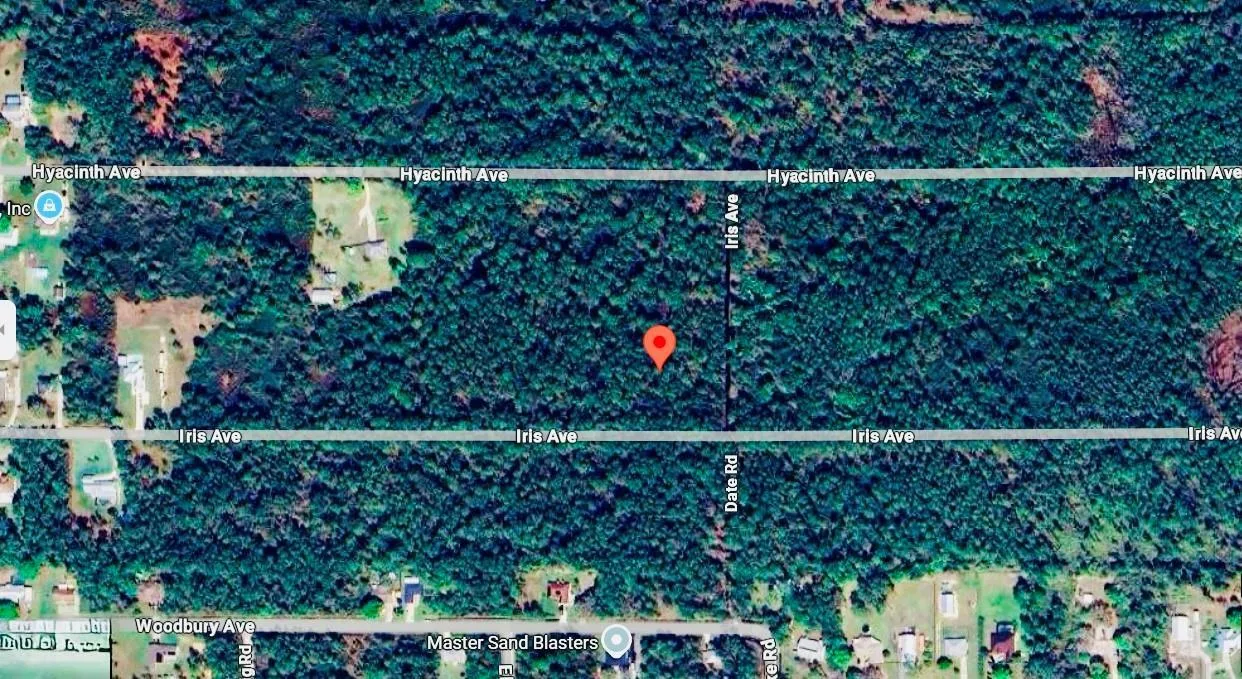 1218 Iris Avenue, Sebring, FL 33875 photo 4