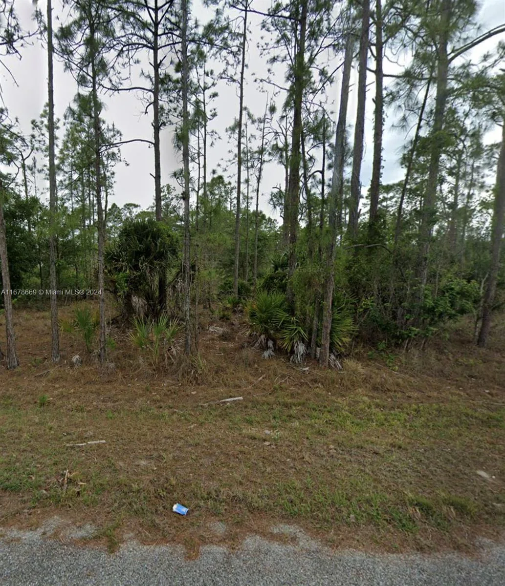 1419 Washington Ave, Lehigh Acres, FL 33872 photo 2