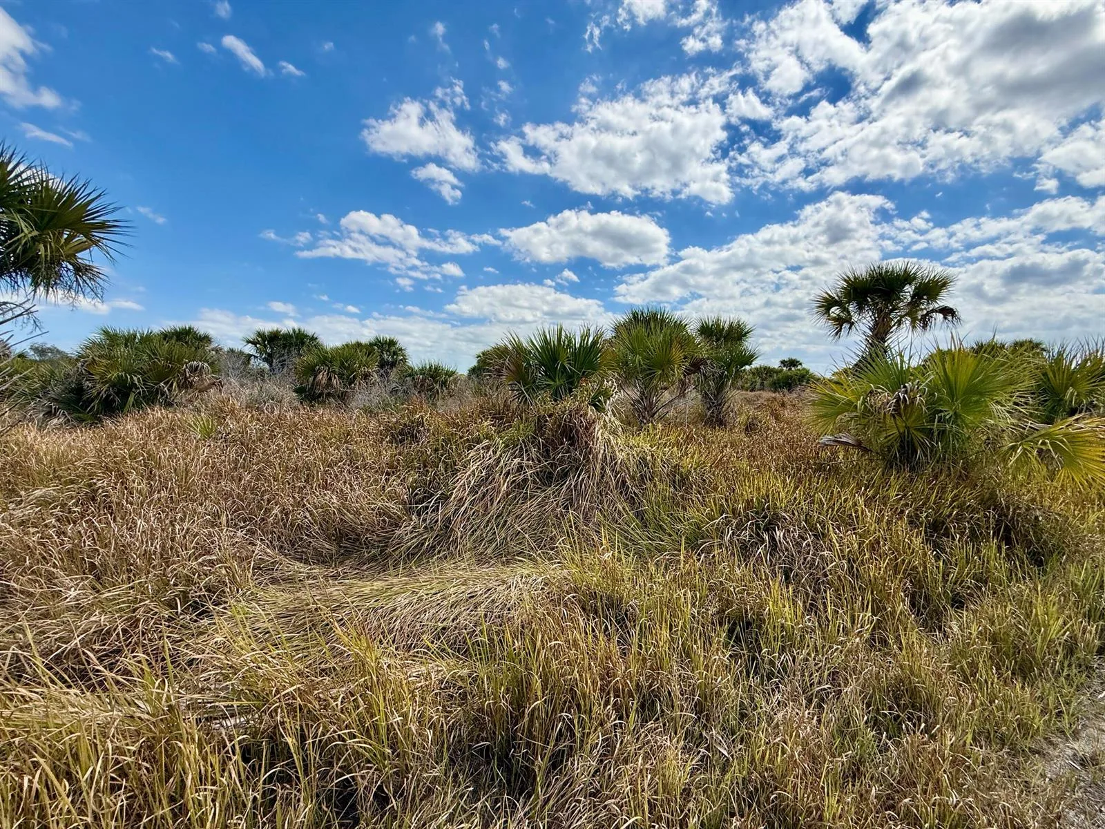 1909 Comer Terrace SW, Palm Bay, FL 32908