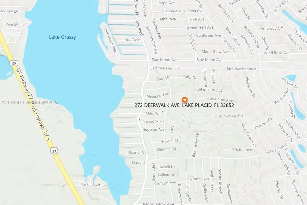 272 DEERWALK AVE, Lake Placid, FL 33852 photo 3