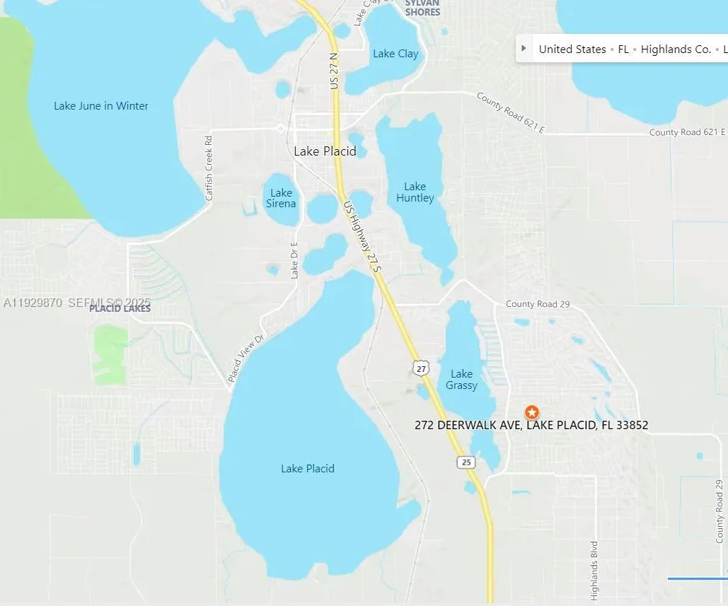 272 DEERWALK AVE, Lake Placid, FL 33852 photo 5
