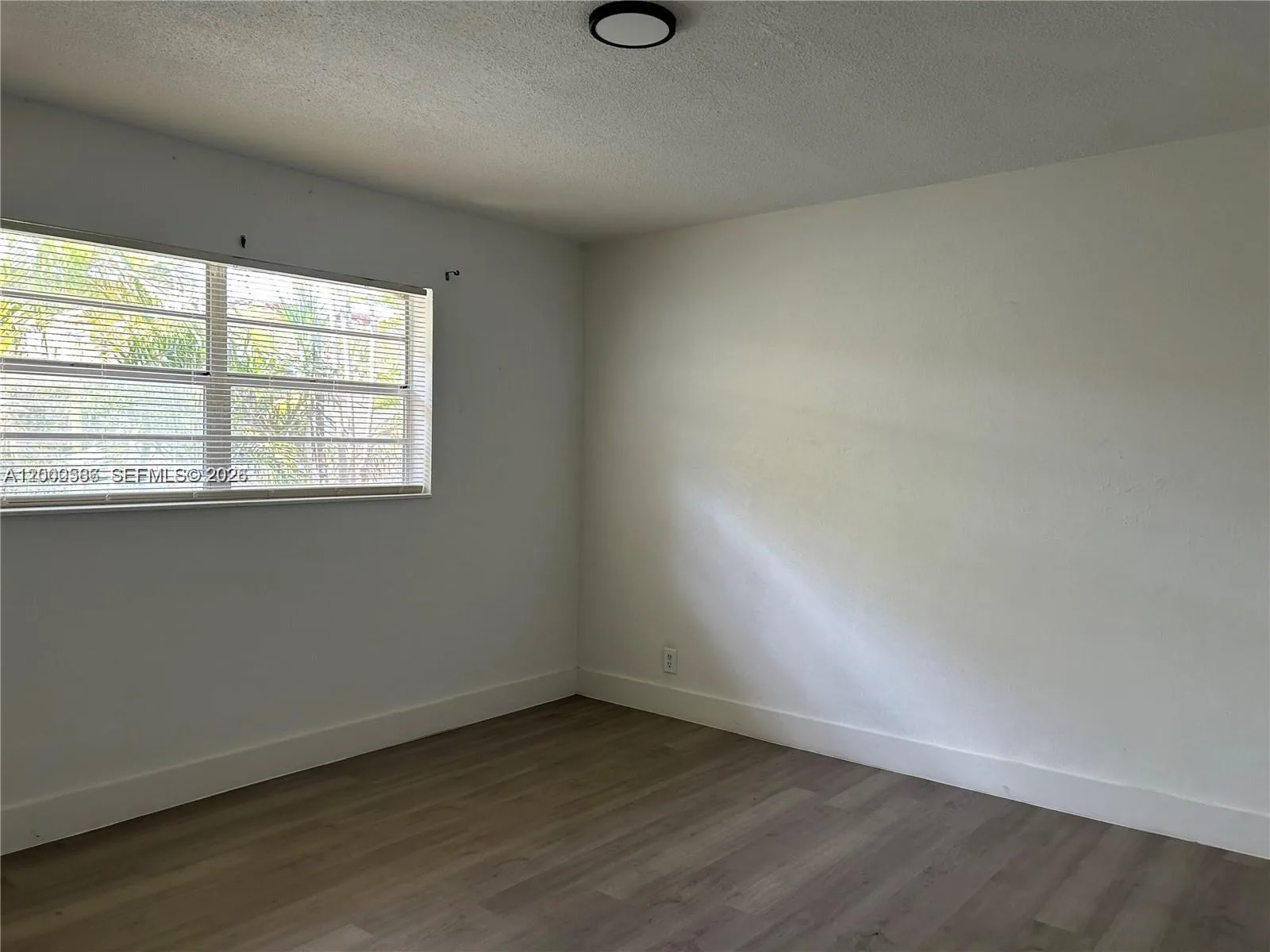 916 SW 10th St, Hallandale Beach, FL 33009 photo 7
