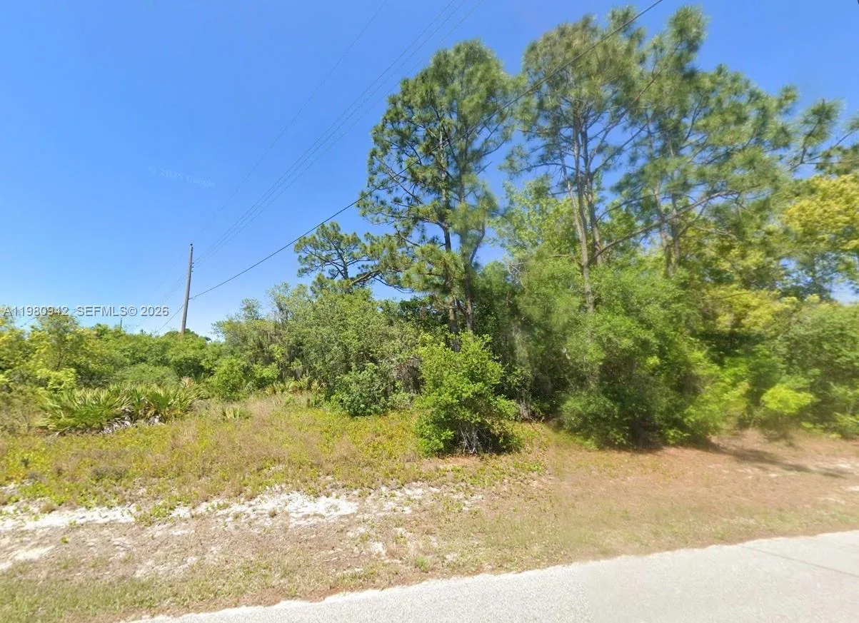 235 Deerwalk Ave, Lake Placid, FL 33852