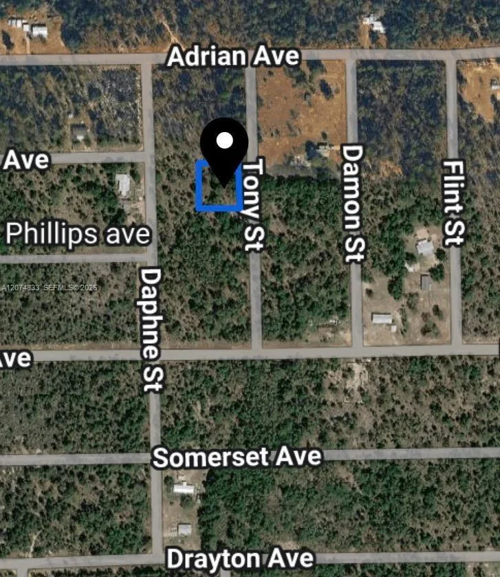 0 TOBY ST, Palatka, FL 32148 photo 2