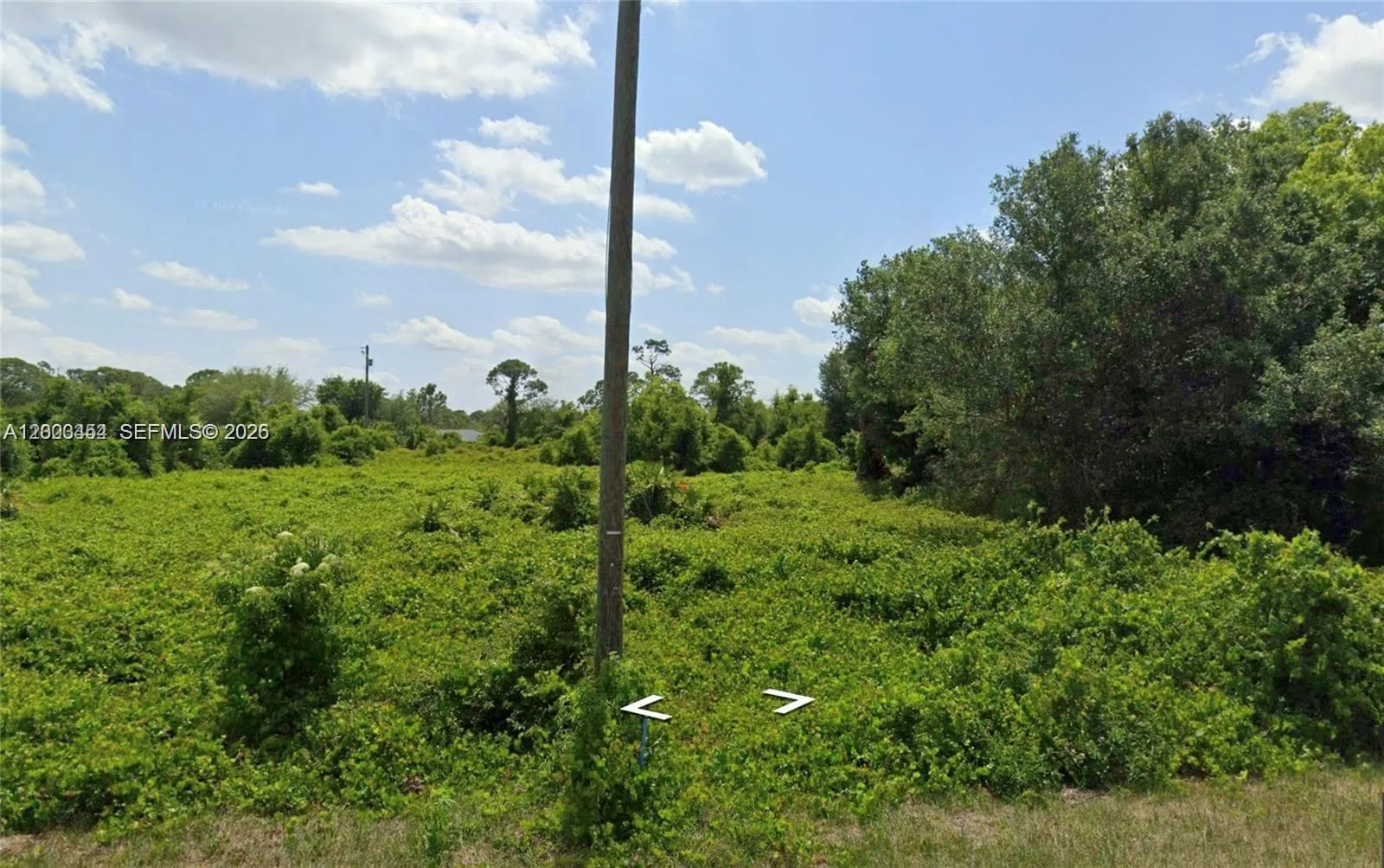 567 NE Farrell Drive, Lake Placid, FL 33852