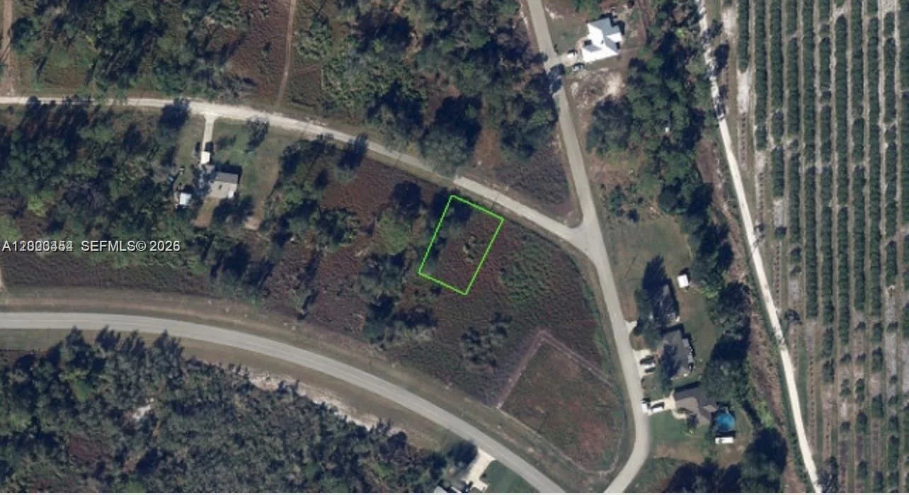 567 NE Farrell Drive, Lake Placid, FL 33852 photo 2