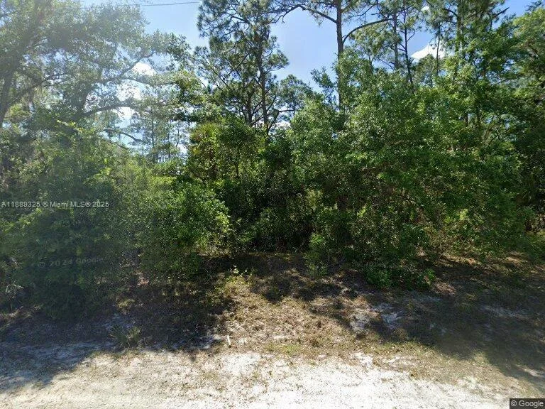 1507 Palmetto Ave, Lehigh Acres, Lehigh Acres, FL 33972