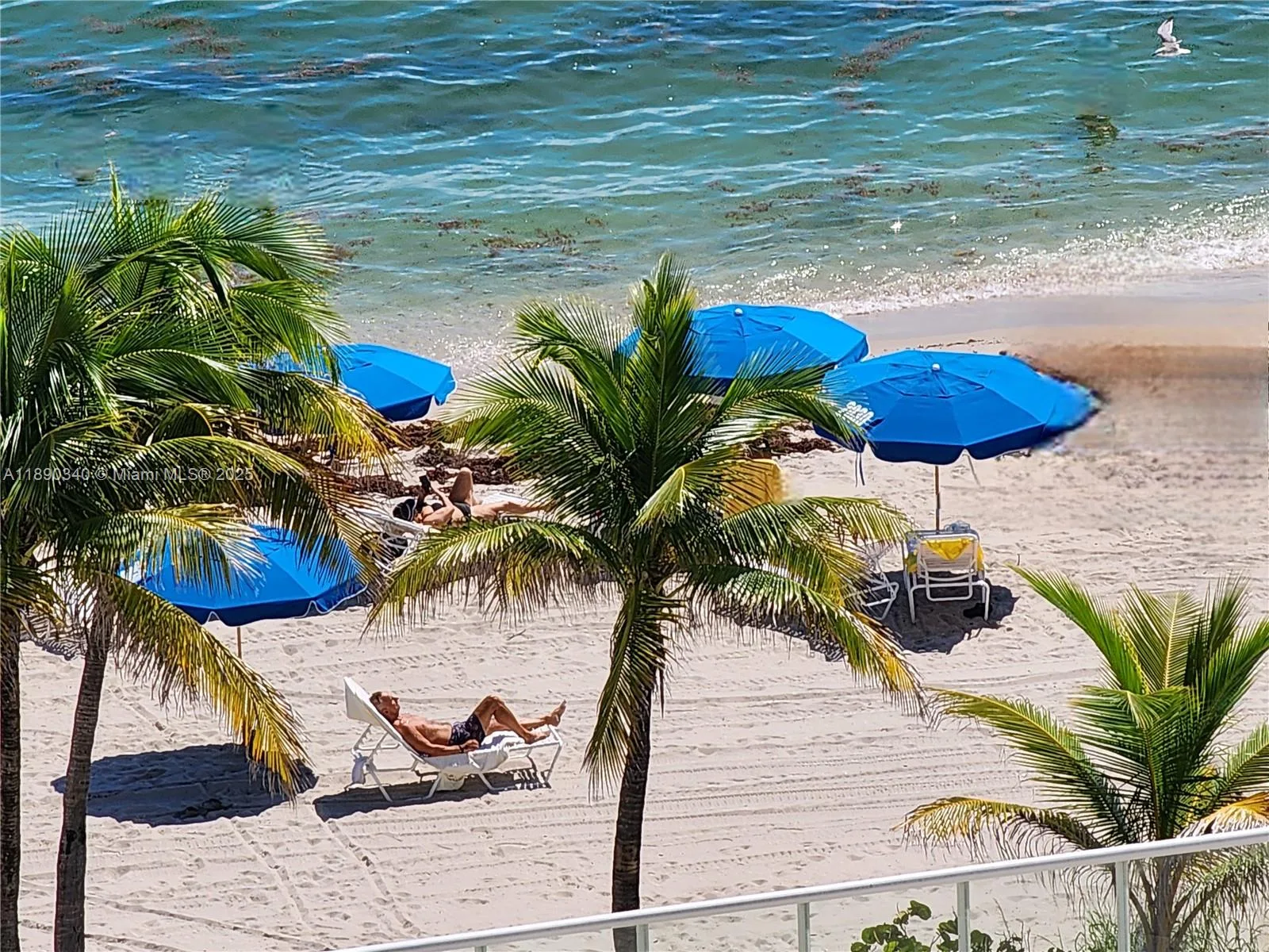 2030 S Ocean Dr # 502, Hallandale Beach, FL 33009