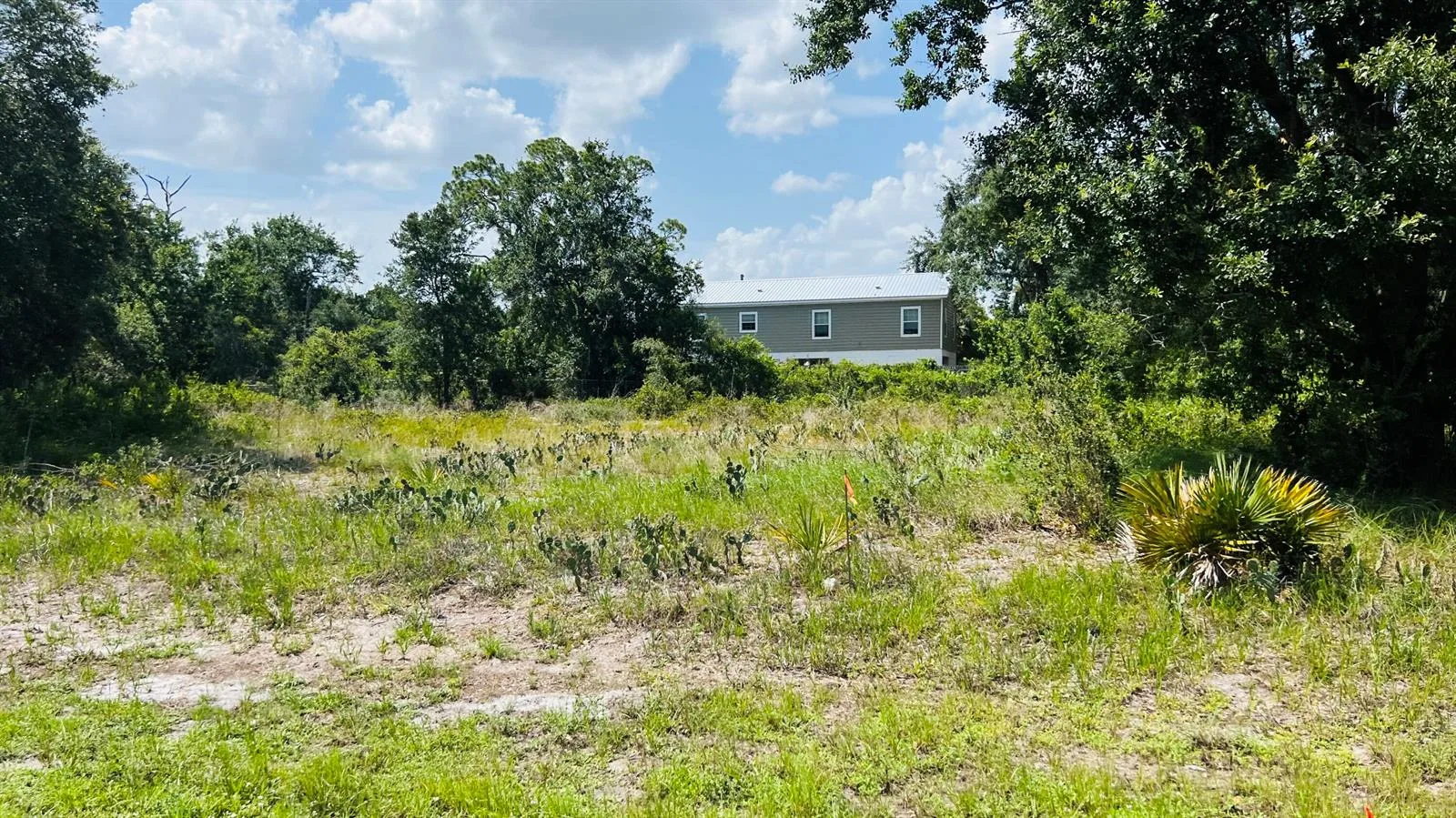 3151 MILLER Avenue, Lake Placid, FL 33852