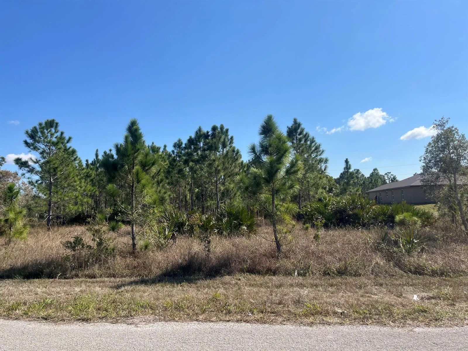 1247 Brunell Avenue, Fort Myers, FL 33913