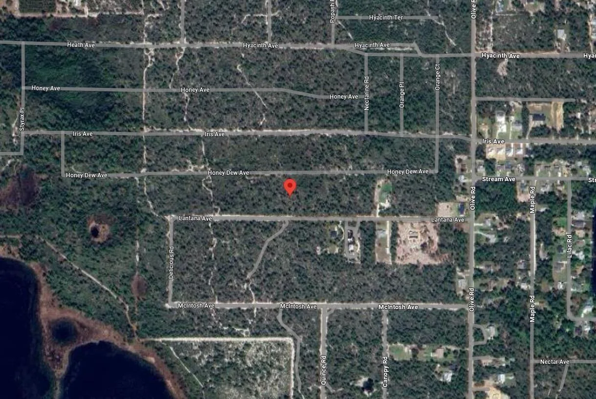 616 Sanderling Avenue, Sebring, FL 33872