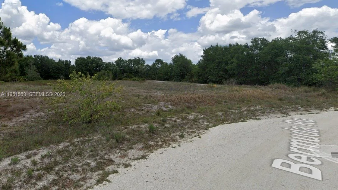 1906 W Bermuda Rd, Avon Park, FL 33825 photo 4