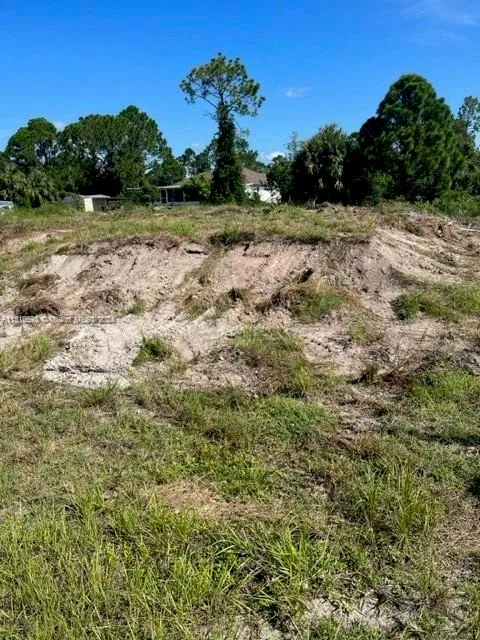 2900 33th St SW, Lehigh Acres, FL 33976 photo 5