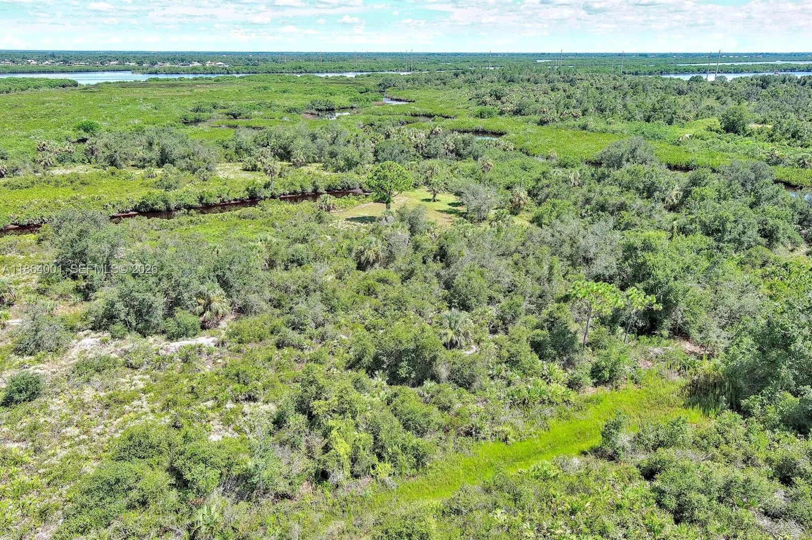 1353 Wallaroo Ct, Punta Gorda, FL 33983 photo 3