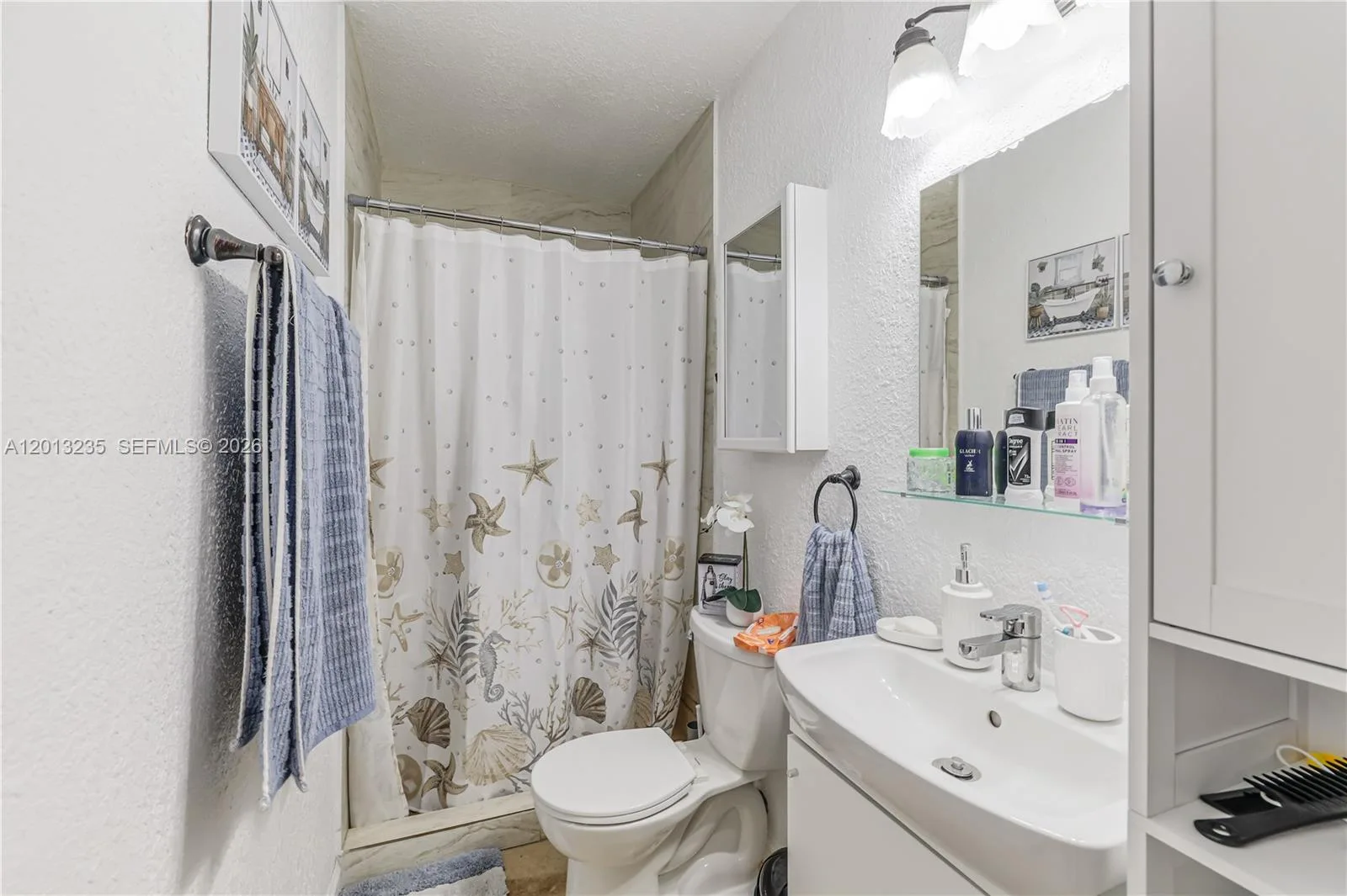 11600 SW 181st Ter, Miami, FL 33157 photo 7
