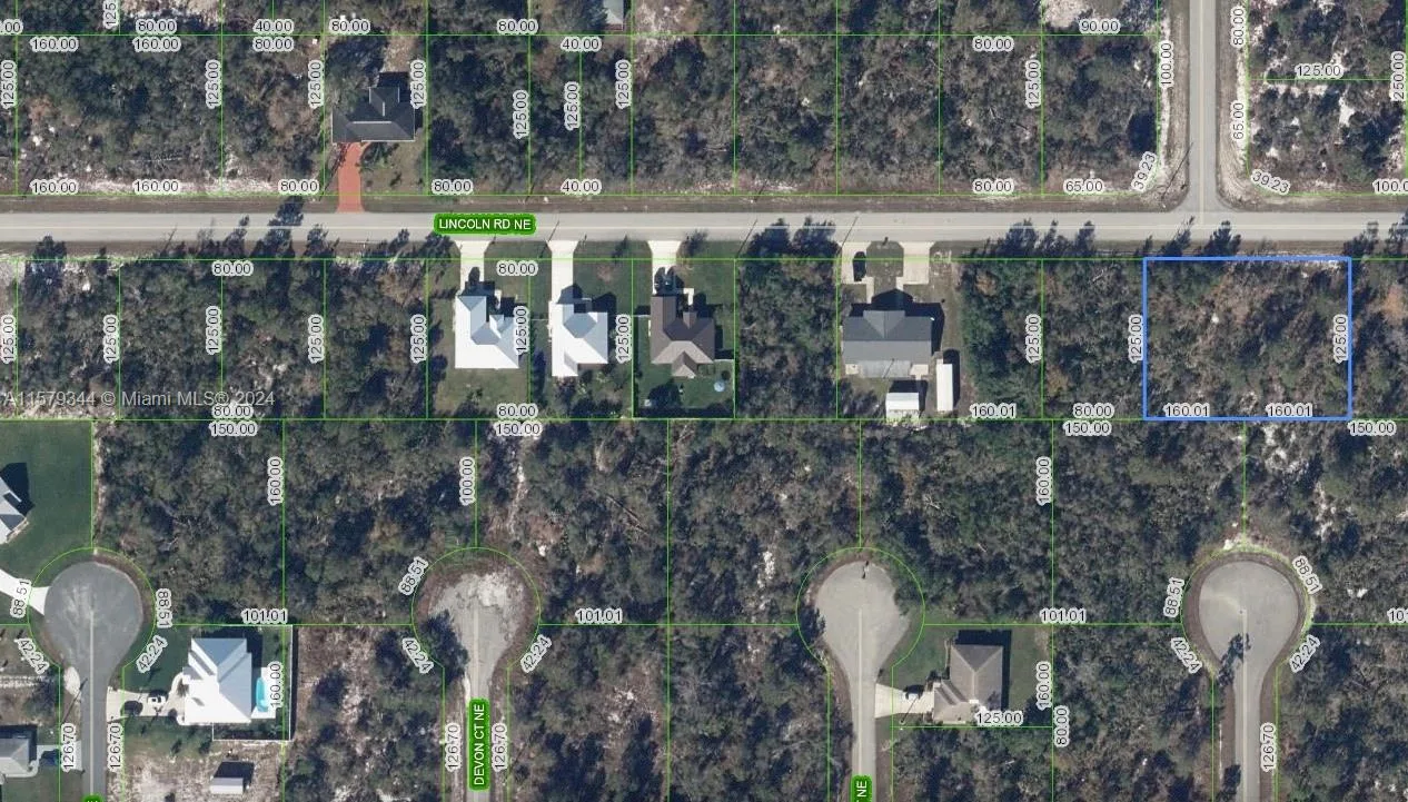 297 Lincoln RD NE, Lake Placid, FL 33852