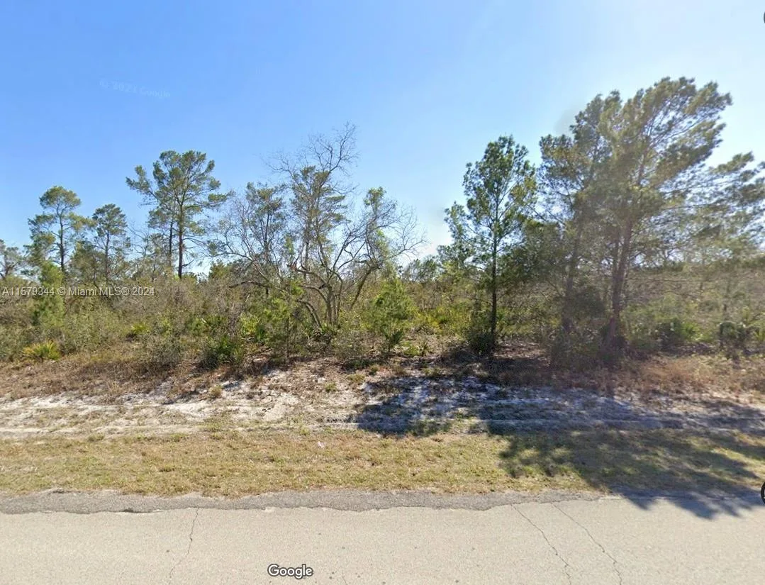 297 Lincoln RD NE, Lake Placid, FL 33852 photo 3
