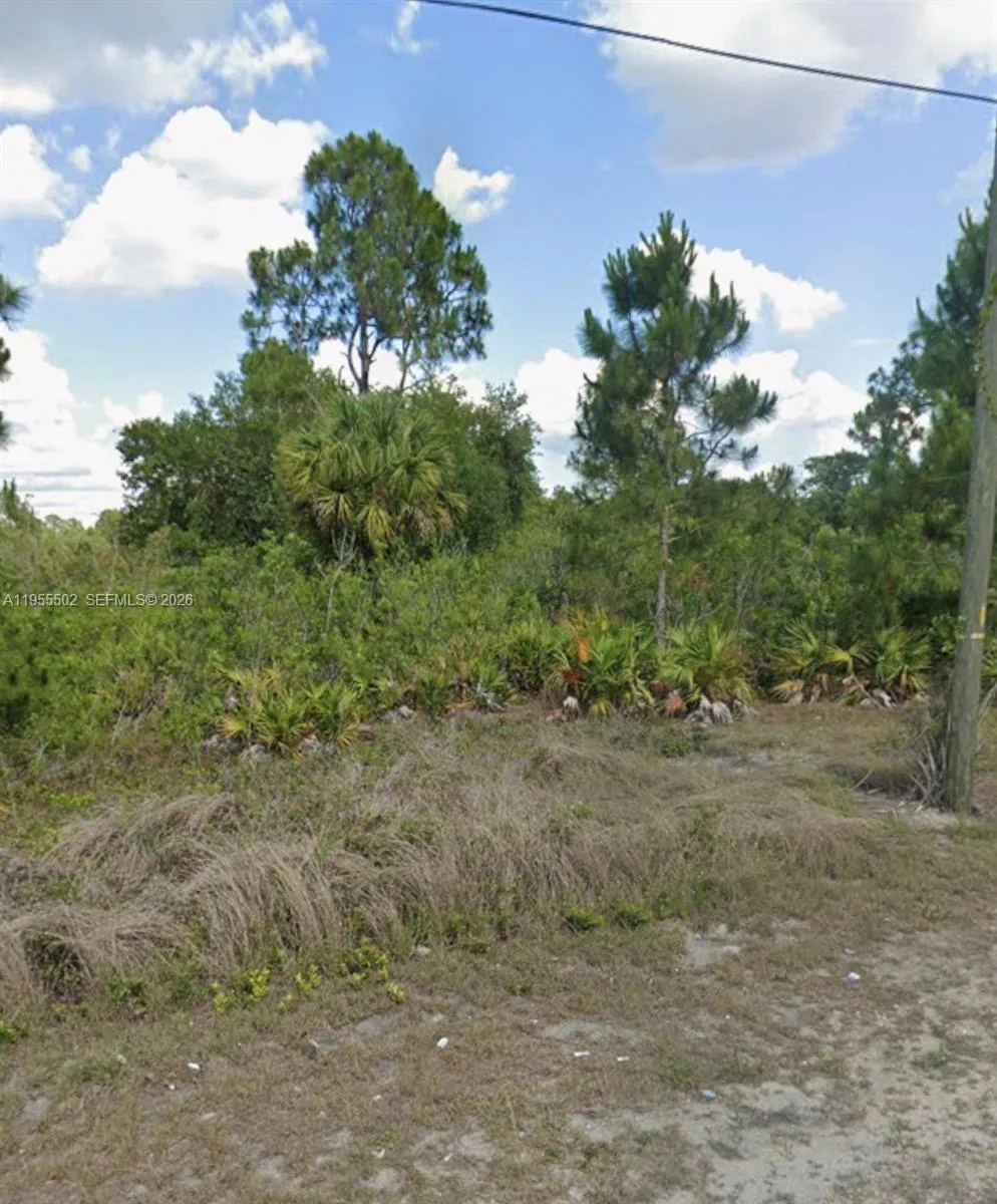 169 Thornton Ave S, Lehigh Acres, FL 33974