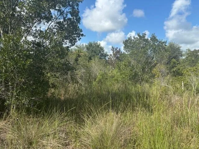 0 NW 316th Street, Okeechobee, FL 34972