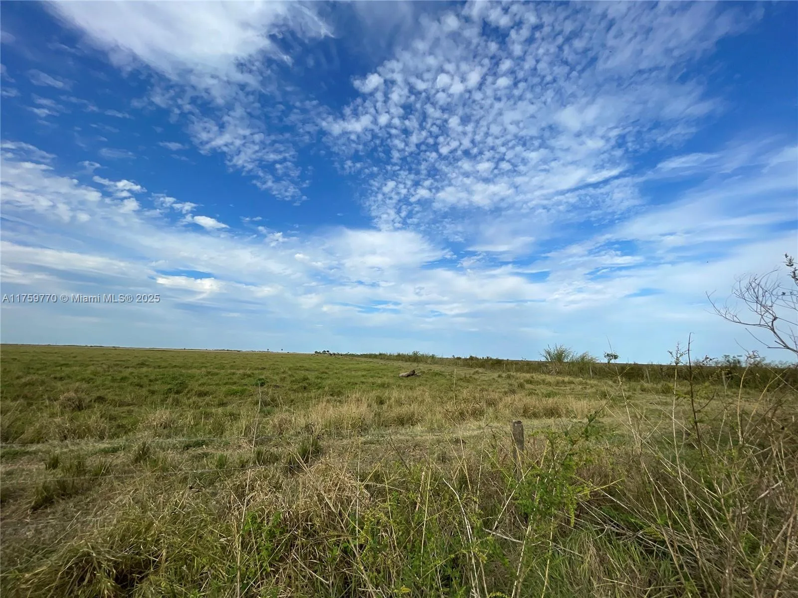 3700 State Rd 70, Lake Placid, FL 33852 photo 2
