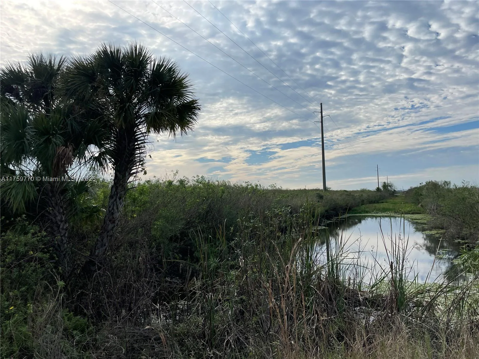 3700 State Rd 70, Lake Placid, FL 33852 photo 3