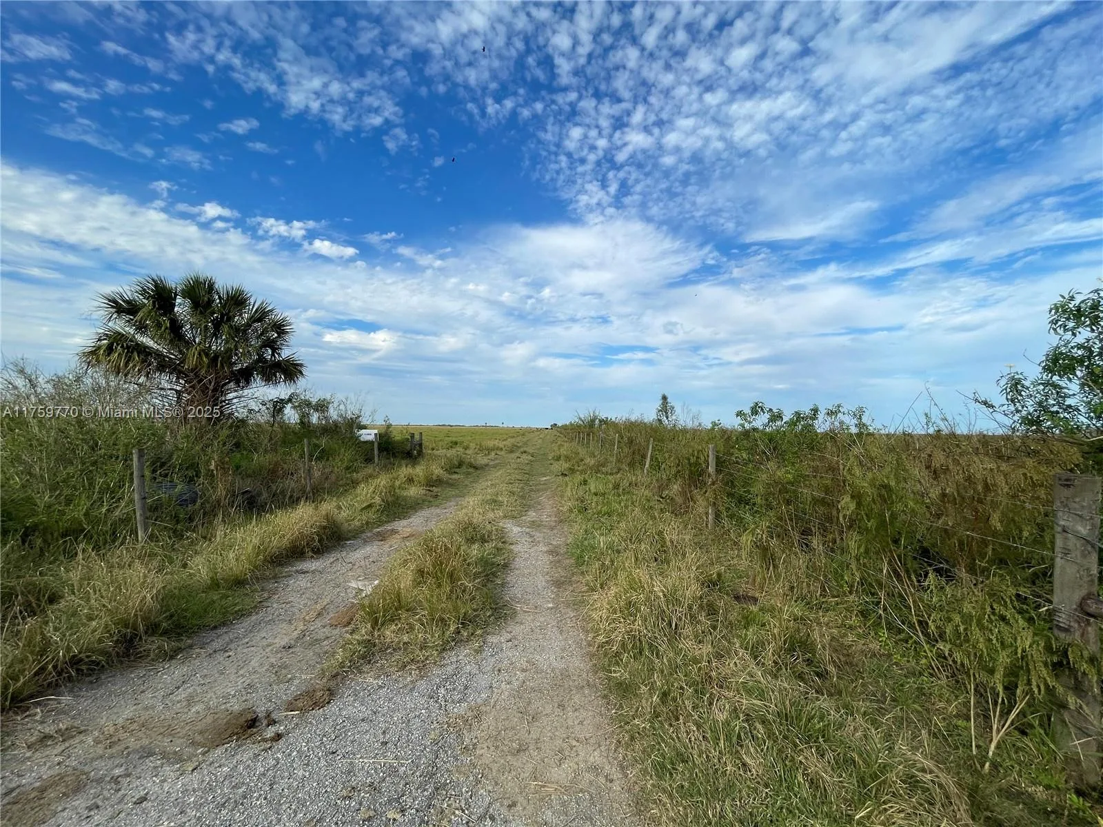 3700 State Rd 70, Lake Placid, FL 33852 photo 4