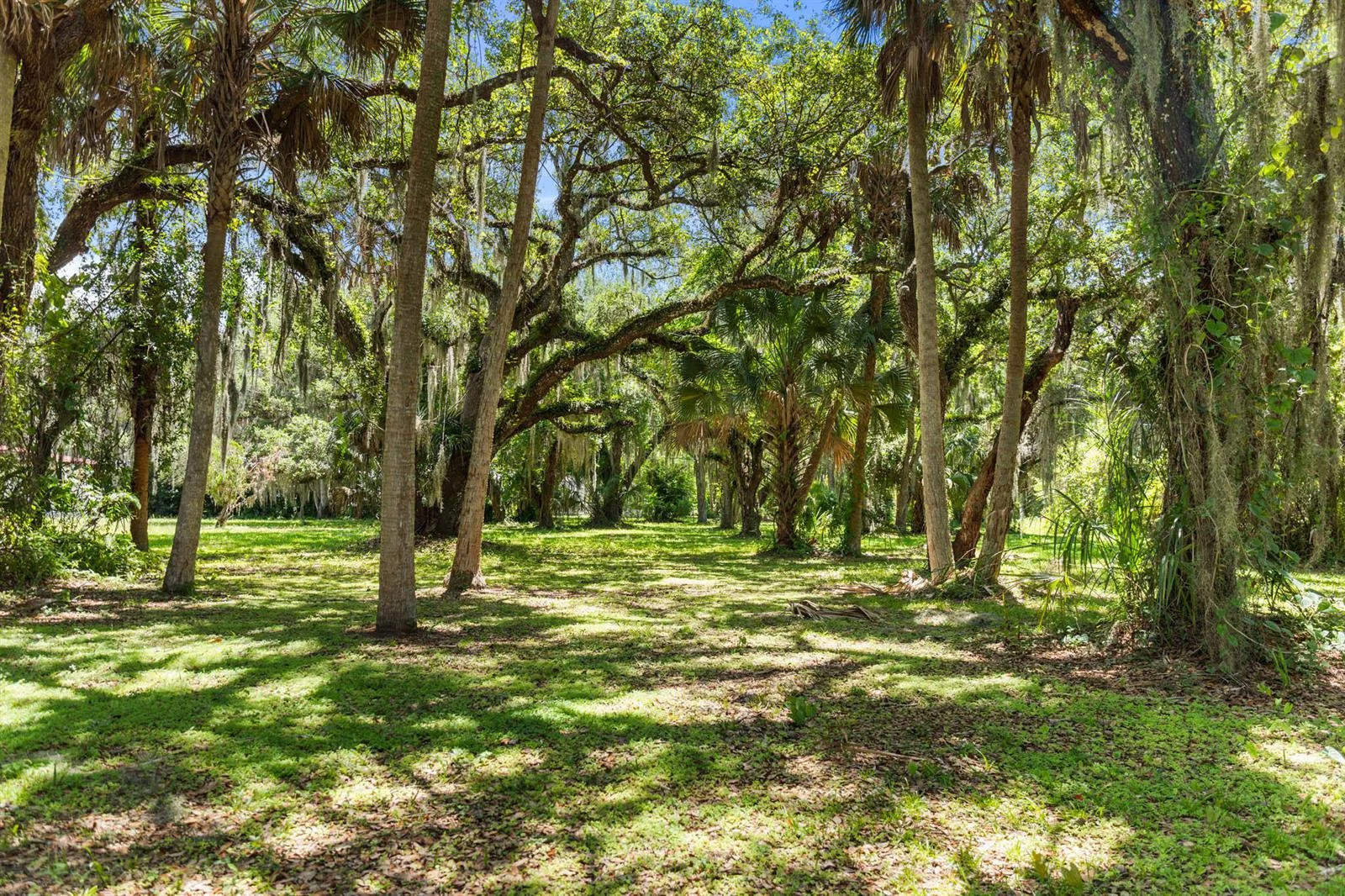 409 SW 15th Street, Okeechobee, FL 34974 photo 4