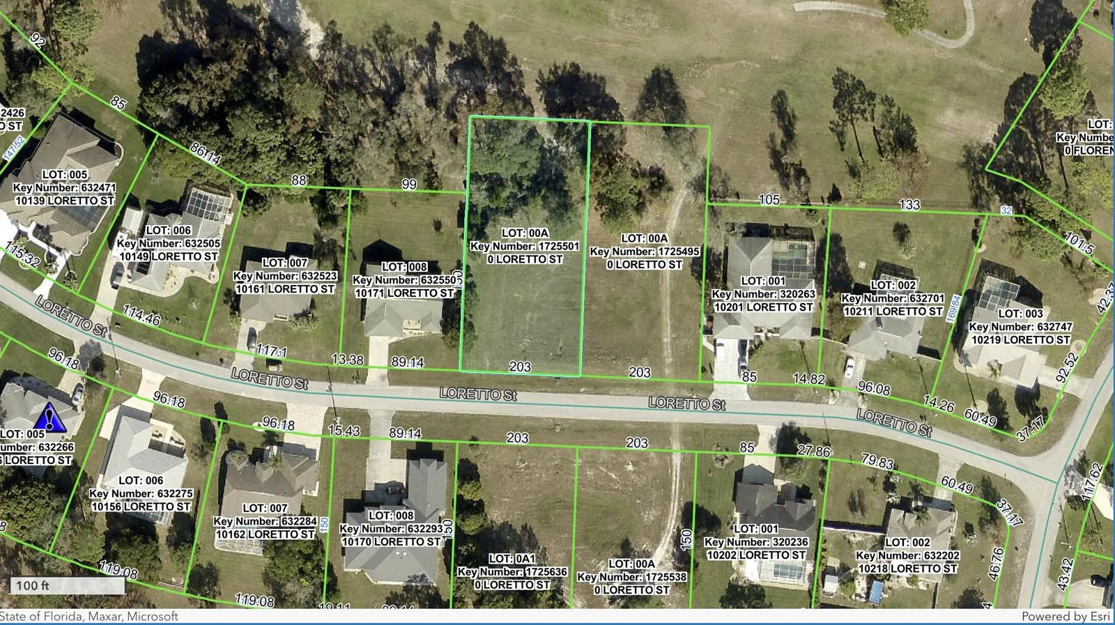 0 Tbd Loretto Lot 5 Street, Spring Hill, FL 34608 photo 2