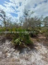 10522 Tam O'Shanter Blvd, Sebring, FL 33875
