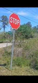 0 Richardson Blvd, Other City - In The State Of Florida, FL 33597 photo 2
