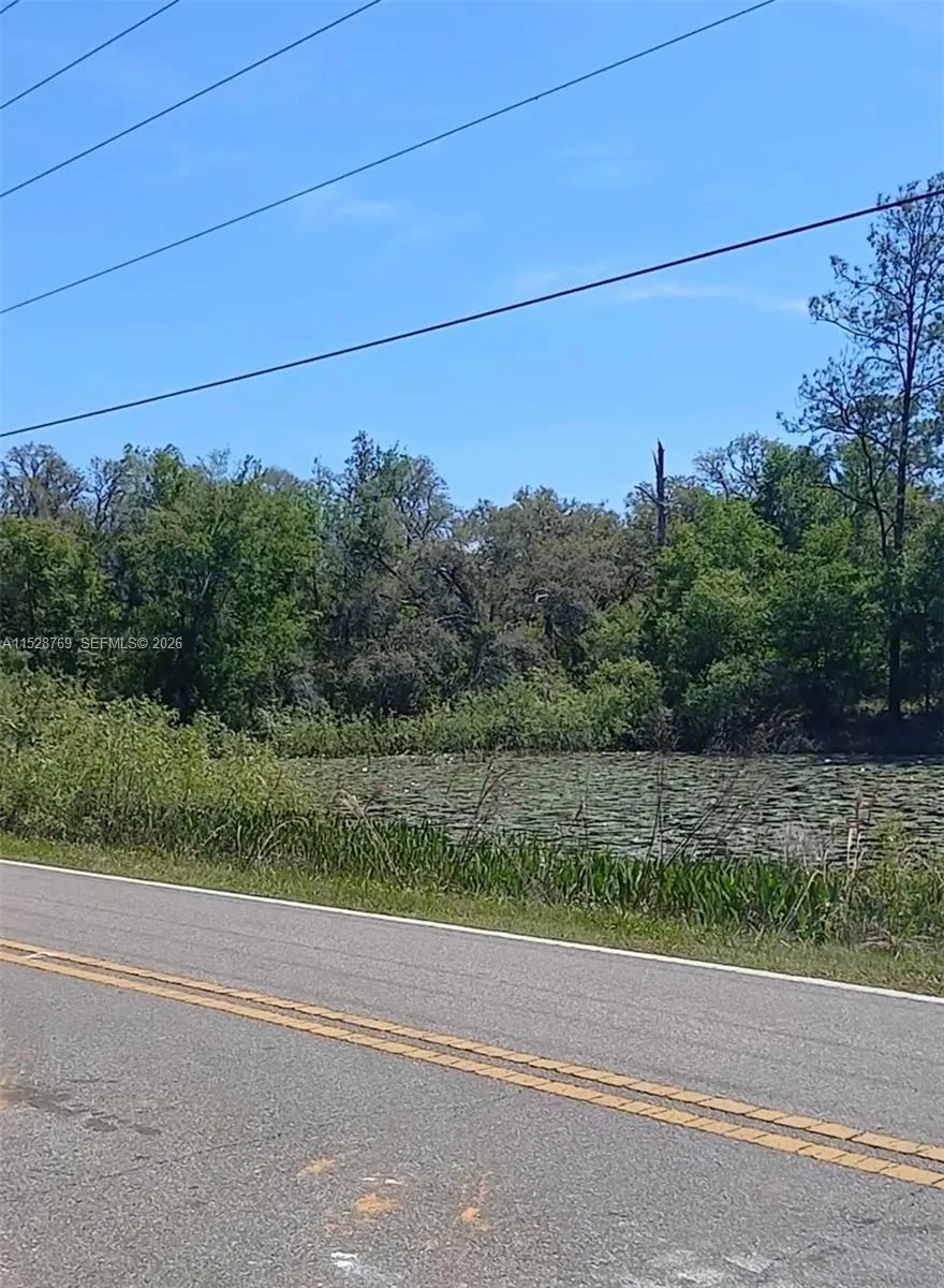 0 Richardson Blvd, Other City - In The State Of Florida, FL 33597 photo 3