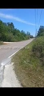 0 Richardson Blvd, Other City - In The State Of Florida, FL 33597 photo 4