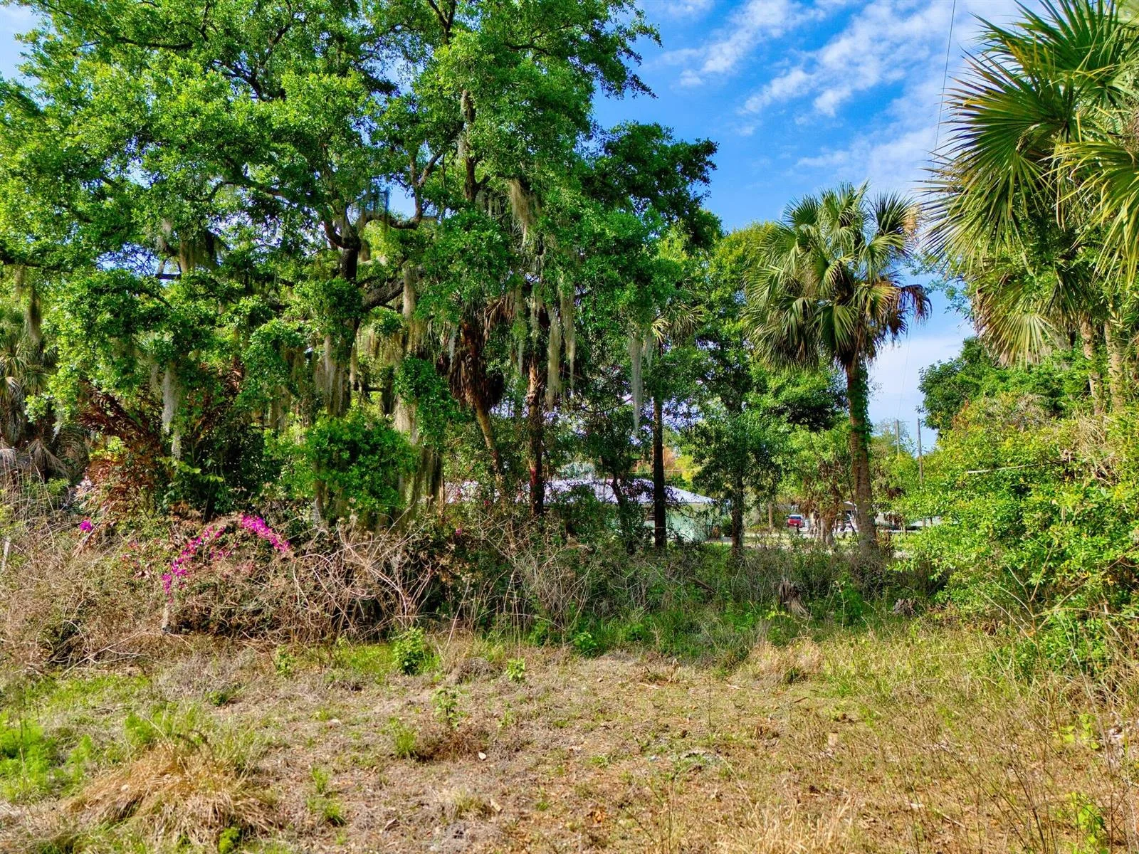 1202 Australian Avenue, Fort Pierce, FL 34982 photo 3