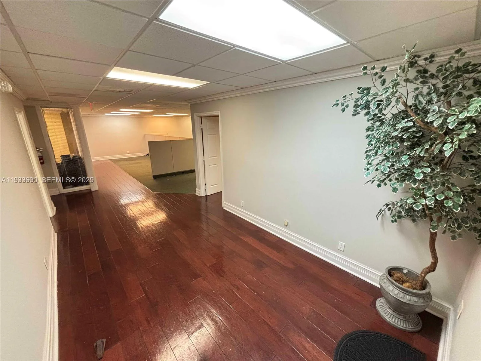 2740 E Oakland Park Blvd # 300, Fort Lauderdale, FL 33306 photo 3