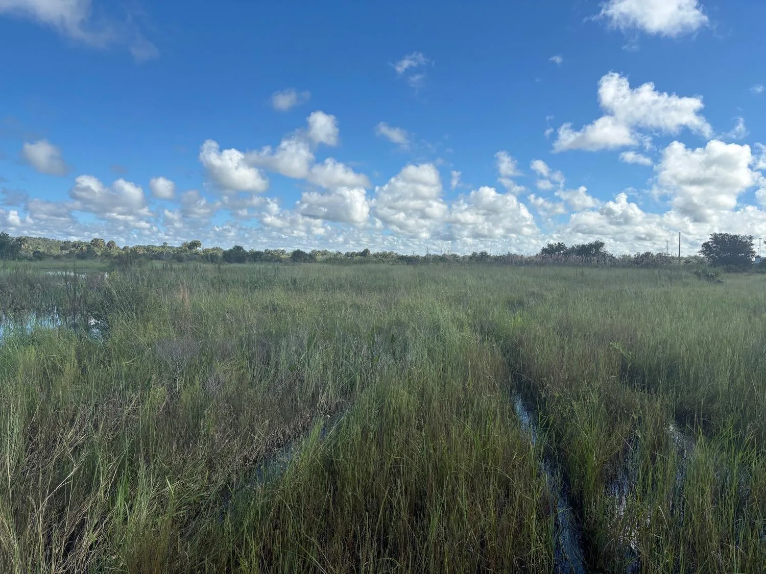0 NW 306th Street, Okeechobee, FL 34972