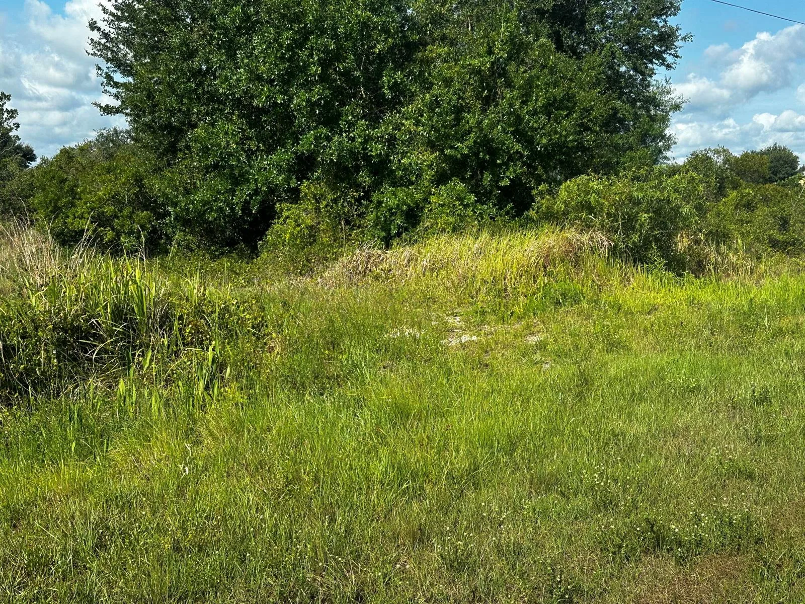 15138 NW 262nd Street, Okeechobee, FL 34972