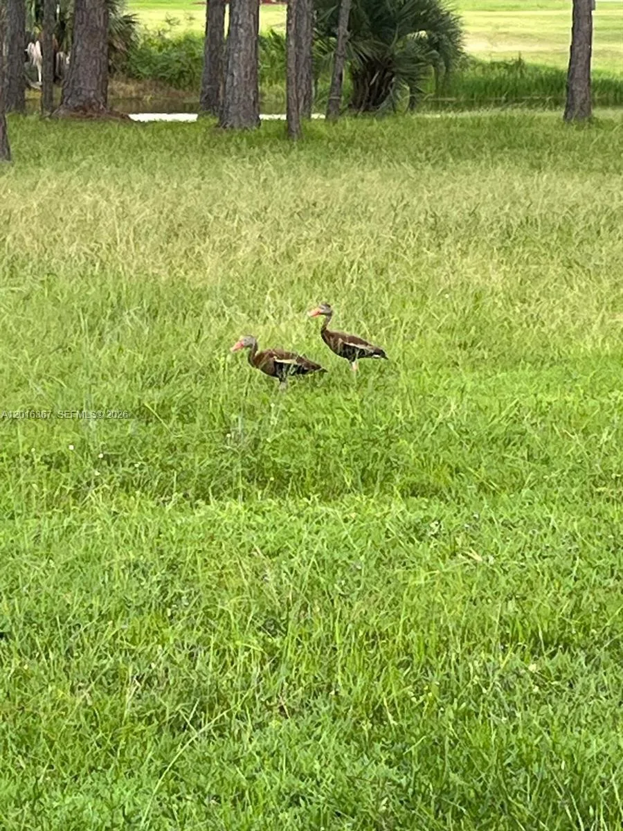0 valencia, Lake Wales, FL 33855 photo 6