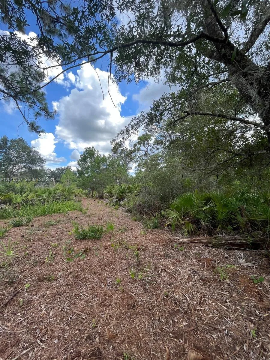 0 valencia, Lake Wales, FL 33855 photo 7