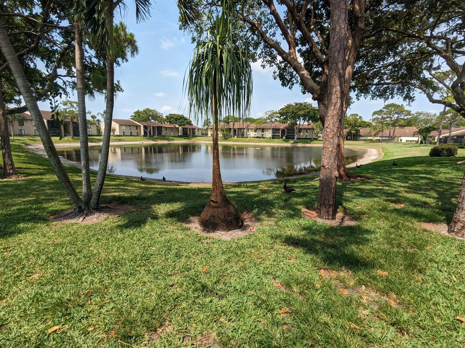 711 Sunny Pine Way # B1, FL 33415 photo 3