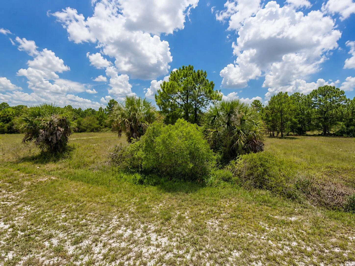 170 S Coral Street, Clewiston, FL 33440