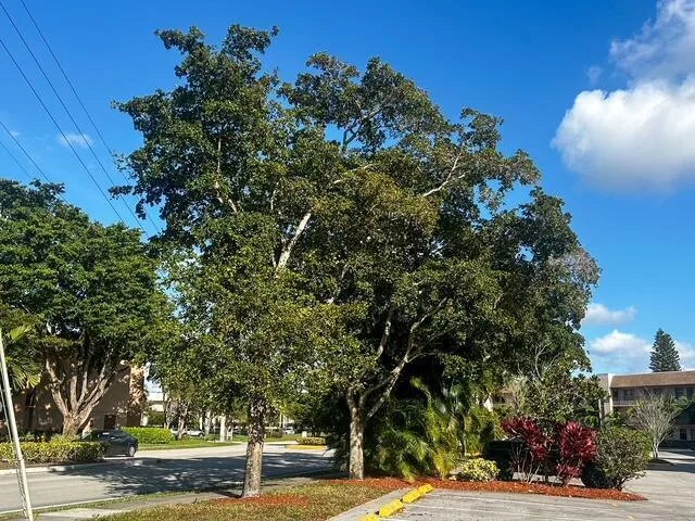 10332 SUNRISE LAKES Boulevard # 111, Sunrise, FL 33322