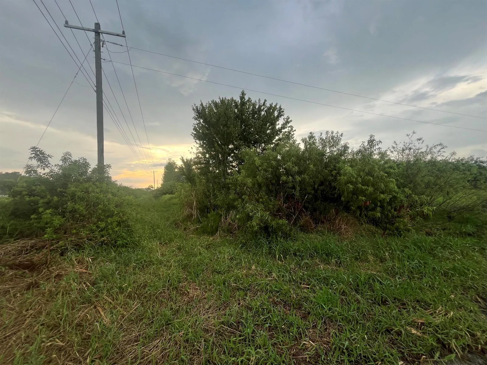 0 E State Rd 60, Okeechobee, FL 34972 photo 3