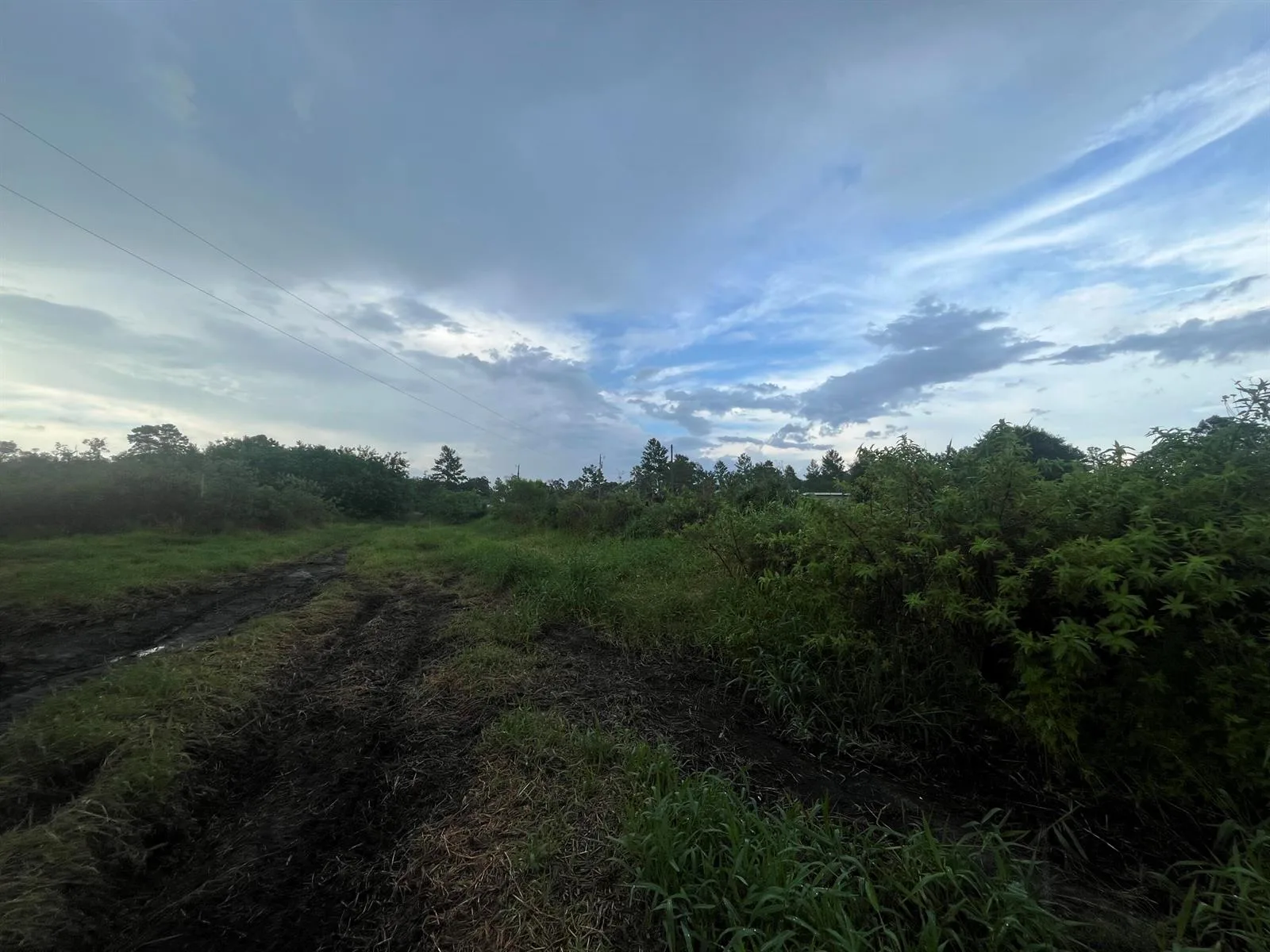 0 E State Rd 60, Okeechobee, FL 34972 photo 4