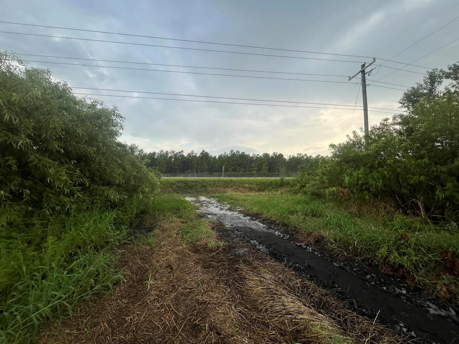 0 E State Rd 60, Okeechobee, FL 34972 photo 5