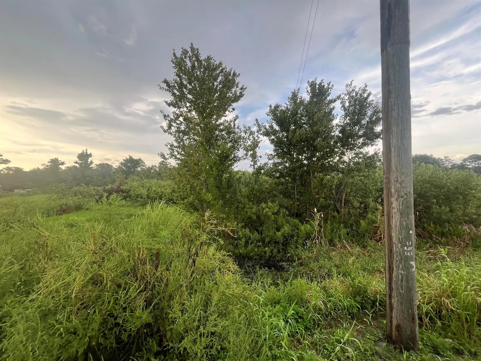 0 E State Rd 60, Okeechobee, FL 34972 photo 8