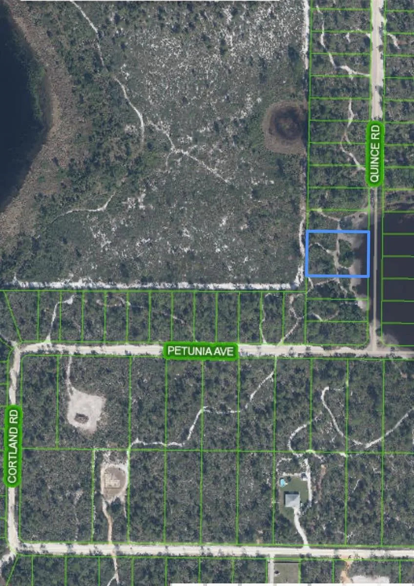 5915 Quince Road, Sebring, FL 33875 photo 5