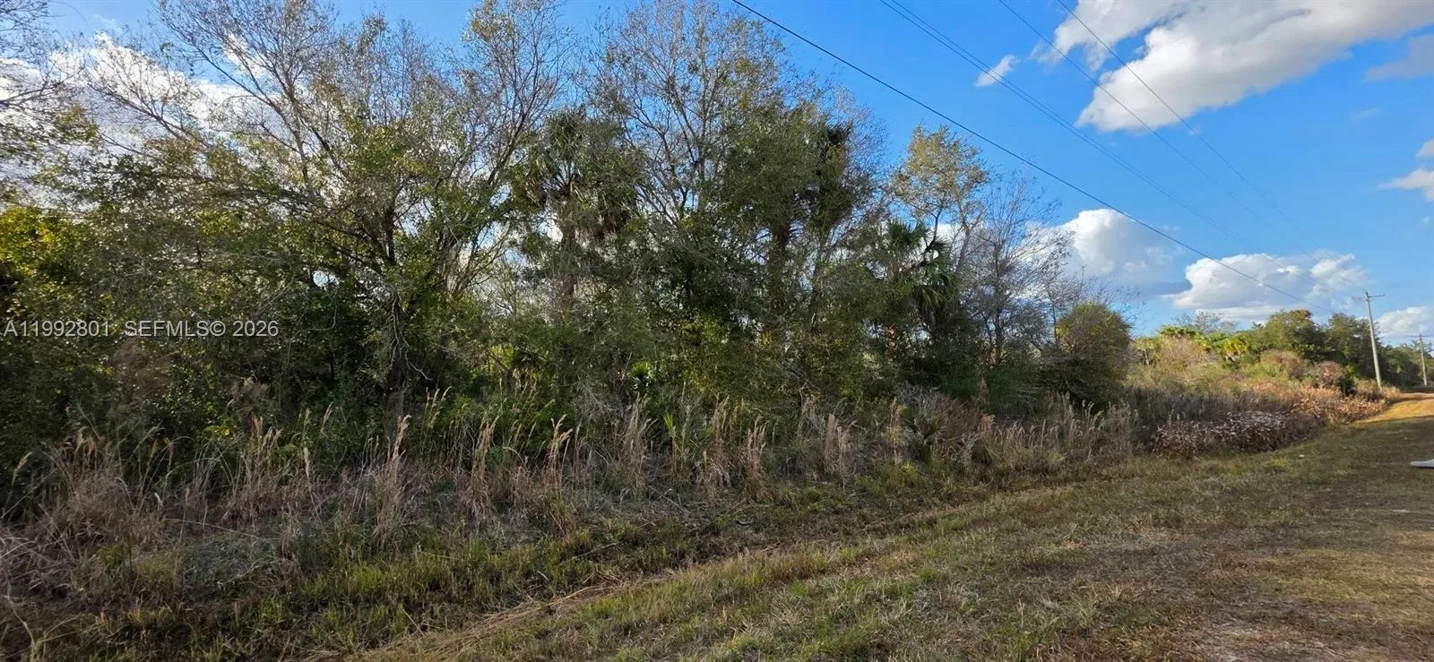 19205 NW 276 st, Okeechobee, FL 34972 photo 3